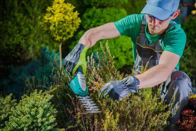 landscaping services Grosse Pointe